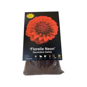 Yarra Valley Bulbs Dahlia Florelie Neon - 1 Pack