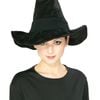 Professor McGonagall Hat Harry Potter Halloween Costume Accessory for Adults and Kids - Black, One-Size