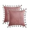 Catzon 2 Pcs Boho Velvet Throw Pillow Covers with Tassels for Couch Bed 50X50cm-Purple