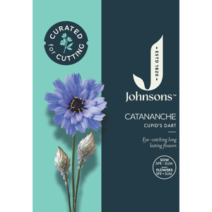 Johnsons Curated For Cutting Catananche Cupid Dart Seeds