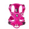 Truelove Adventurer No Pull Dog Harness Medium Fuchsia