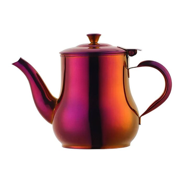 ANYGLEAM Teapot Red Rainbow Stainless Steel with Filter for Coffee, Tea, Oil and Liquid Seasonings Container Kettle