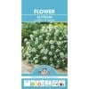 Mr Fothergill's Alyssum Carpet Of Snow Flower Seeds