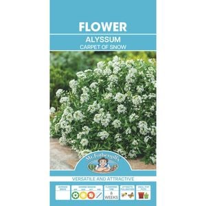 Mr Fothergill's Alyssum Carpet Of Snow Flower Seeds