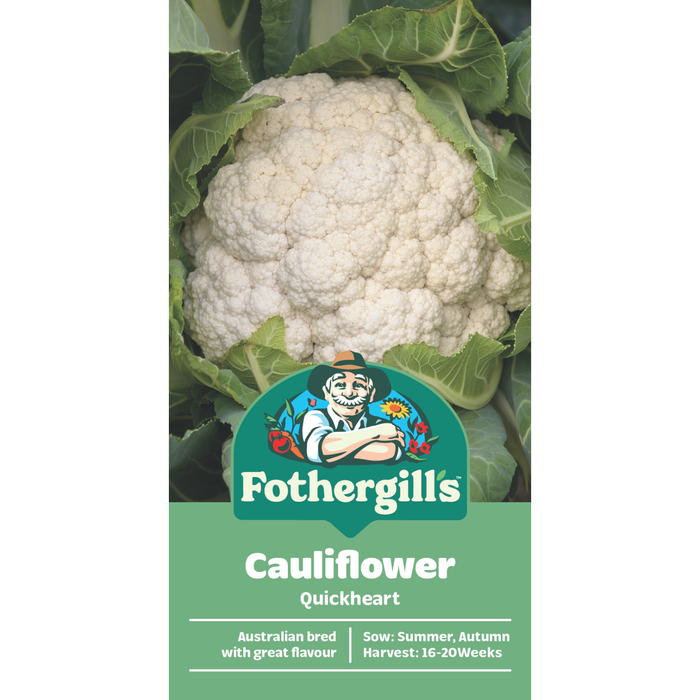 Fothergill's Quickheart Cauliflower Vegetable Seeds