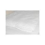 Jason Commercial Queen Bed Micro Fresh Quilt Protector 210x210cm