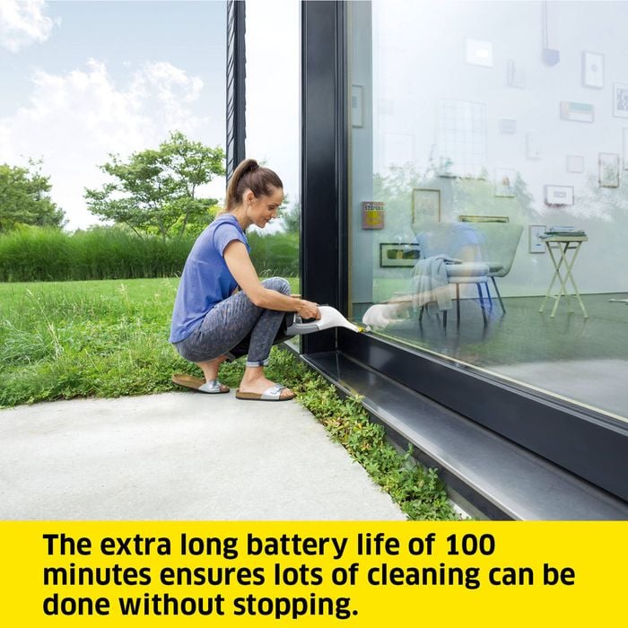 Karcher WV 6 Plus Window Vac
