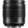 Panasonic Lumix G 12-60mm Vario f/3.5-5.6 ASPH. Power OIS