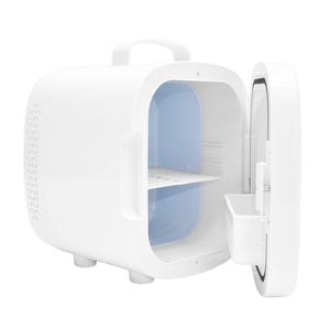 6L Cosmetic Fridge 220V/12V Portable Refrigerator Mini Cooler Cooling and Heating Function