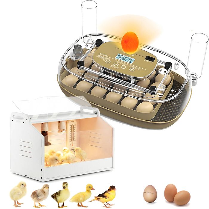 Advwin 24 Eggs Automatic Incubator with Chicken Brooder Box