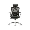 Sihoo M18 Classic Office Chair With Triple Spinal Relief - (Black)