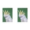 2PK Ashdene Cotton 70x50cm Modern Birds Cockatoo Kitchen Towel