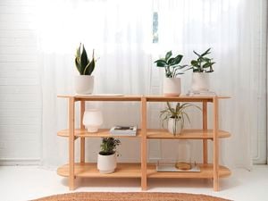 Multiple plant pot styles on a wooden display shelf
