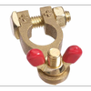 Projecta Brass Positive Battery Terminal With Wingnut