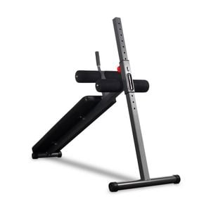 Adjustable Abdominal Ladder Gym Bench W/ Cushion & Foam Rollers 190x60cm