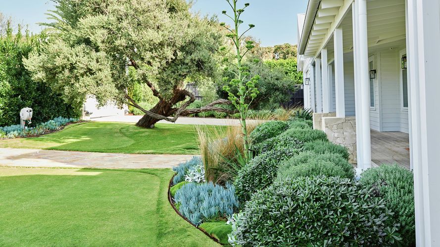 A beautifully landscaped garden with a large tree, manicured lawn, diverse plants and a white house with a verandah.