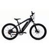 Smartmotion Catalyst 250W 48V 17.5 ah Black