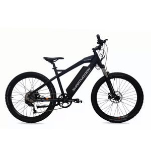 Smartmotion Catalyst 250W 48V 17.5 ah Black