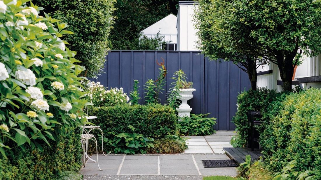 Teal painted picket fence with a red hibiscus flower bush growing behind