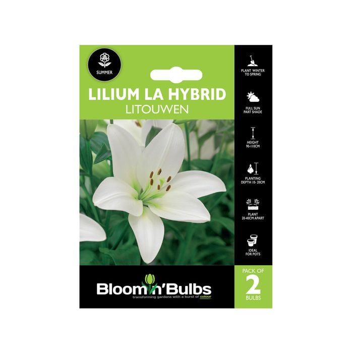Bloomin' Bulbs Lilium Litouwen - 2 Pack