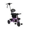 BoPeep Kids Tricycle Bike Ride On Toy  Purple