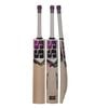SS Gladiator Kashmir Willow Cricket Bat