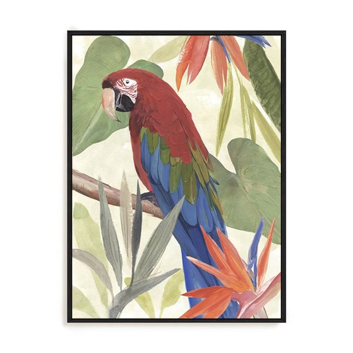 Artey | Tropical Parrot Composition III - Framed Canvas - Black Frame - 120 x 160cm