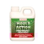 Flood Mould Action Paint Prewash  1L