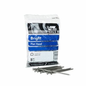 NZ Nails 50 x 2.24mm 500g Flat Head Bright Steel Nail