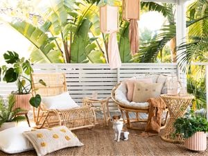 A modern style outdoor lounge retreat on a deck with hanging festoon lights, drinks trolley and potted plants with dog sitting on the rug