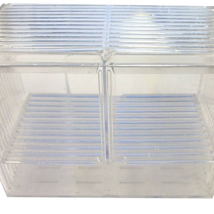Guppy Fish Breeding Midi Floating Tank (19.5cm x 10.5cm x 10cm) by Aqua One