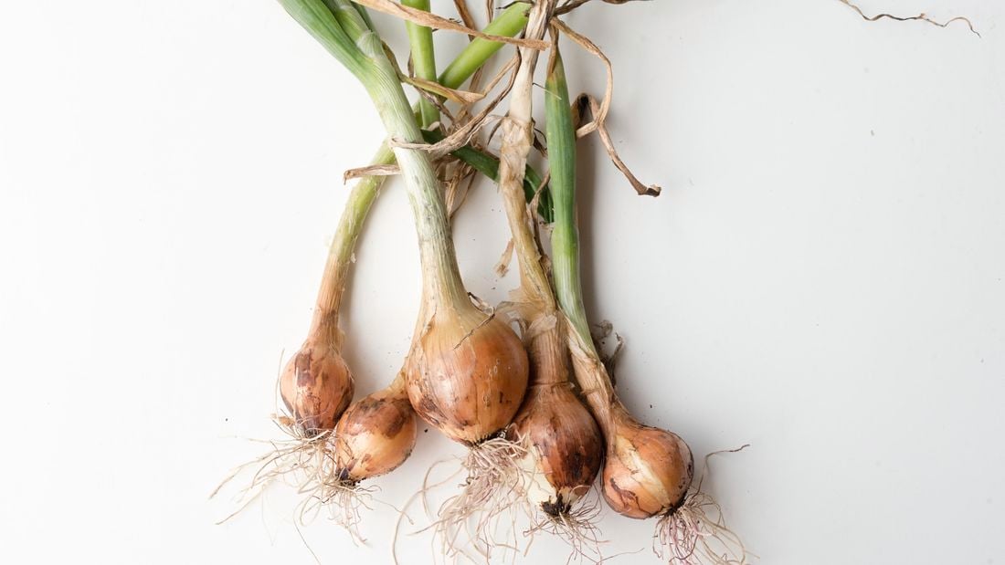 Pile of onions