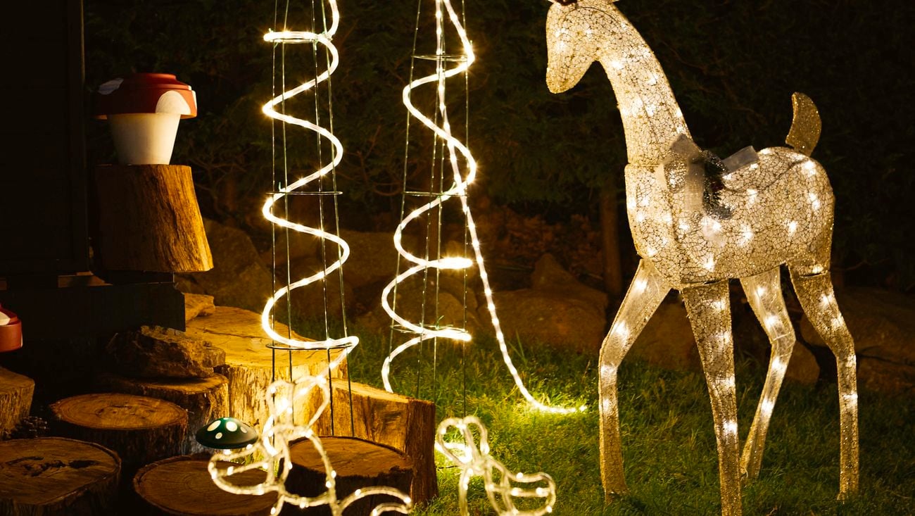 Illuminated reindeer and kangaroos in a backyard at night