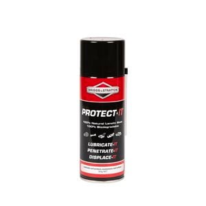 Briggs & Stratton 300g Protect It Spray
