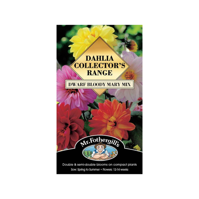 Mr Fothergill's Dahlia Dwarf Bloody Mary Mix Seeds