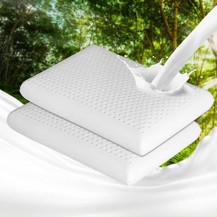 Dreamz 2x Natural Memory Latex Soft Pillow