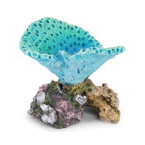 Kazoo Fluro Foliase Coral Cup Blue Small (18899)