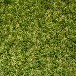 DIY Turf 3.75 x 1m Lifestyle Synthetic Turf