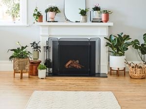 Living room with plant pots, rug and fireplace.