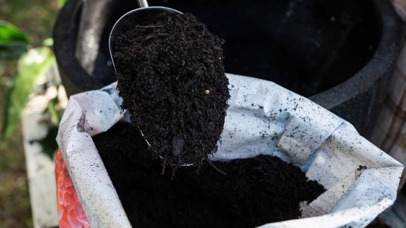 Close up of Osmocote mulch on a garden trowel and in bag.