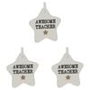 3PK LVD Ceramic Hanging 8x9cm Star Awesome Teacher w/ Hanger Ornament Decor