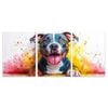 3pcs Vibrant Pit bull Watercolor Print 100% Australian Made 3 x 40x60cm (Metal Print)