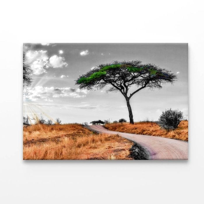 Green Tree with Meadow Road   Print 100% Australian Made 150 x 100cm  (Acrylic)