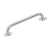 Goliath Stainless Steel Grab Handle