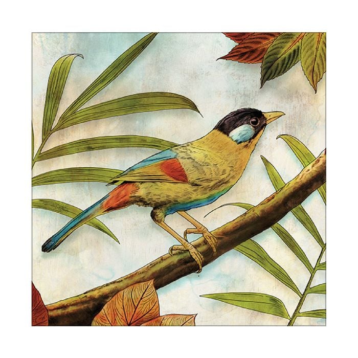 Artey | Jungle Bird I - Stretched Canvas - Stretched Canvas - 120 x 120cm