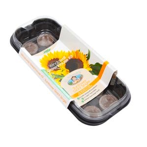 Mr Fothergill's Sunflower Windowsill Greenhouse Kit