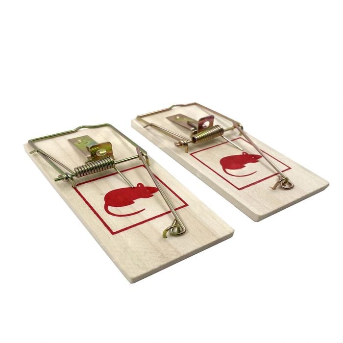 Wooden Mouse Trap - 2 Pack