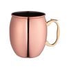 Avanti 600ml Stainless Steel Moscow Mule Mug w/ Handle Cold Drink Cup Copper
