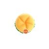 Paws & Claws Fast Food Large Chew Toys Clip Strip 26x11x5cm Assorted