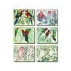 Cinnamon Placemats Cork Backed Set of 6 Australian Parrots